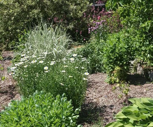 La Main Ouverte Bed and breakfast